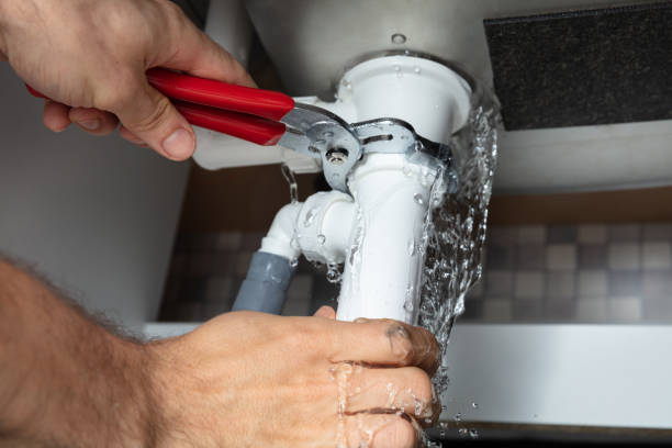 Best Fire Damage Restoration  in Ellisburg, NJ