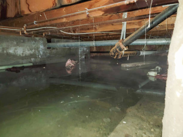  Ellisburg, NJ Water damage restoration Pros