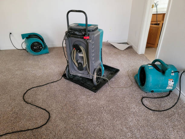 Best Carpet water damage restoration  in Ellisburg, NJ