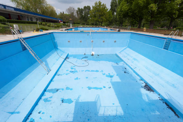 Best Mold removal after water damage  in Ellisburg, NJ