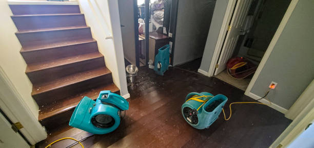 Best Water damage restoration mold remediation  in Ellisburg, NJ