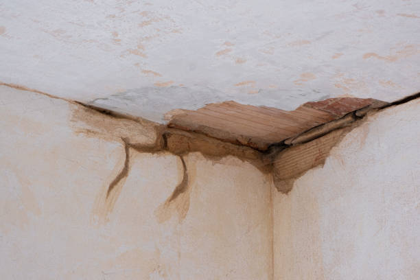 Best 24-hour water damage restoration  in Ellisburg, NJ