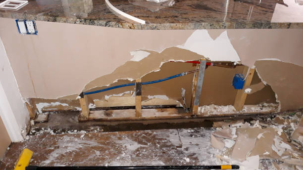 Best Flooded house restoration  in Ellisburg, NJ