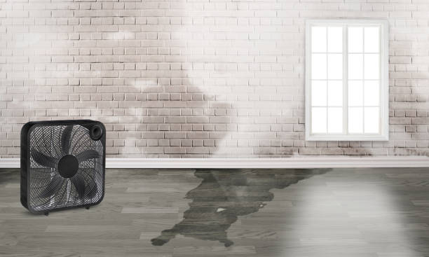 Best Sewage cleanup and water damage restoration  in Ellisburg, NJ