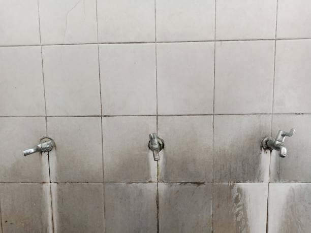 Best Professional water damage repair  in Ellisburg, NJ